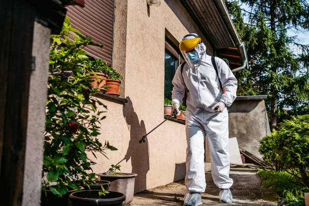 Best Wasp Removal Services  in Grenelefe, FL