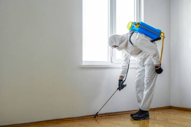 Best Pest Prevention Services  in Grenelefe, FL