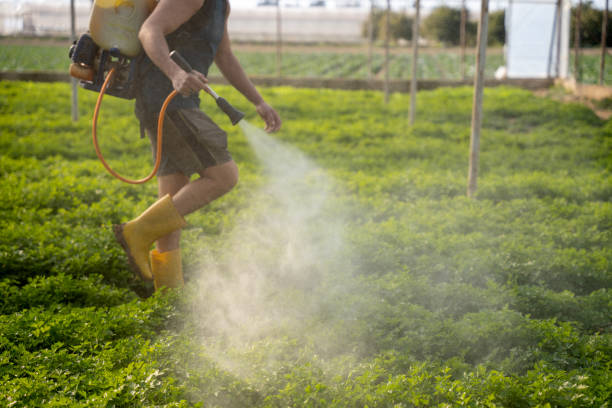 Pest Control for Restaurants in Grenelefe, FL