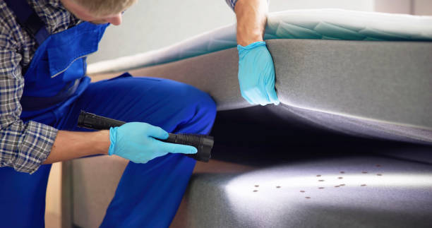 Best Emergency Pest Control  in Grenelefe, FL