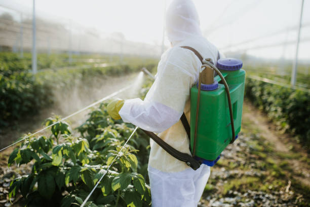 Best Best Pest Control Companies  in Grenelefe, FL